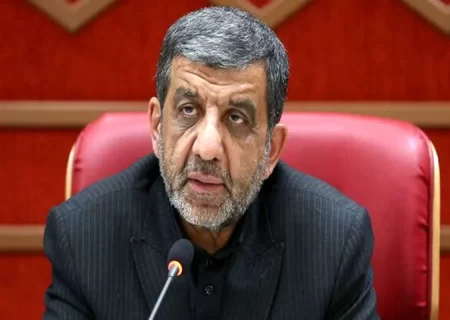 ضرغامی: لغو روادید با ۳۲ کشور به تصویب رسید