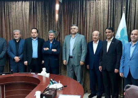 شبیری مدیرعامل شاپرک شد